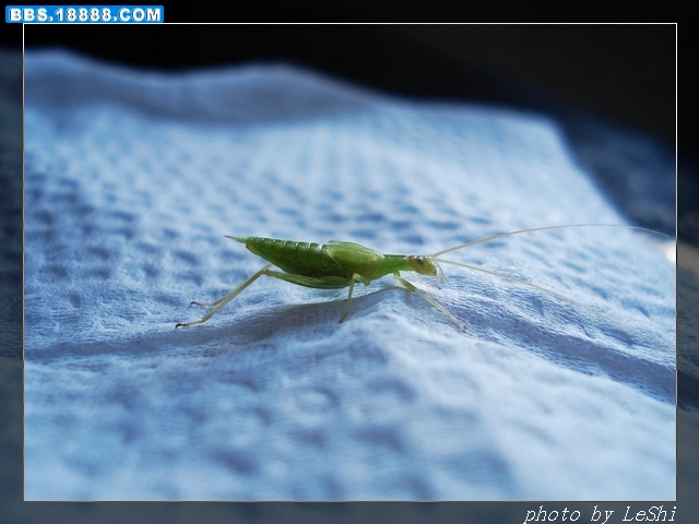 DSC09600.JPG
