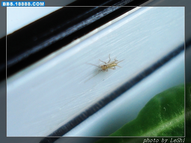 DSC09089_放大图.jpg