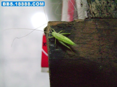 DSC05951.cccjpg.jpg
