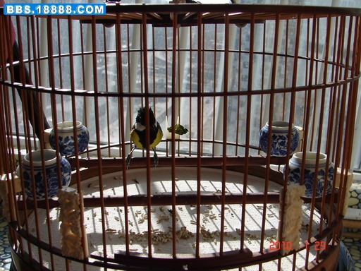 DSC04128_缩小大小.JPG