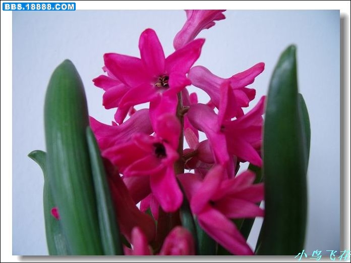 DSCF3645.jpg