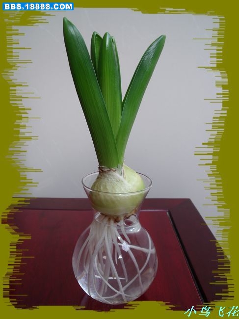 DSCF3668.jpg
