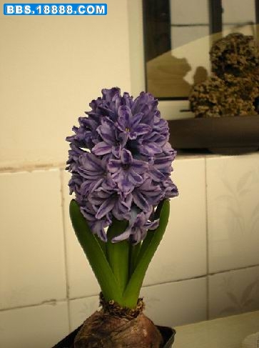 J47[3C)%R7(3%@T`28UD1H8.jpg