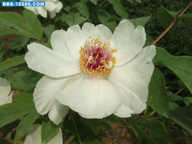 DSCF3301.JPG
