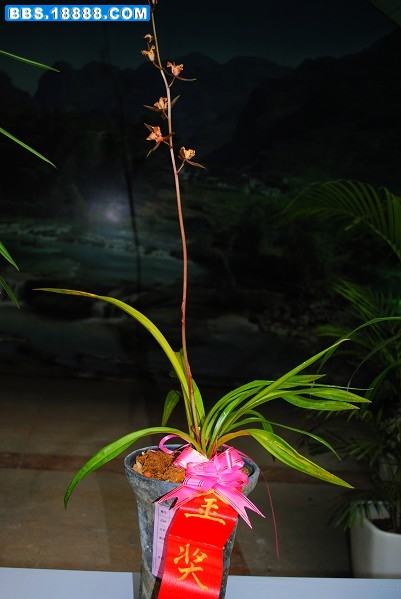 照片 155.jpg
