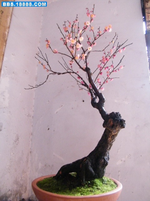照片 057.jpg