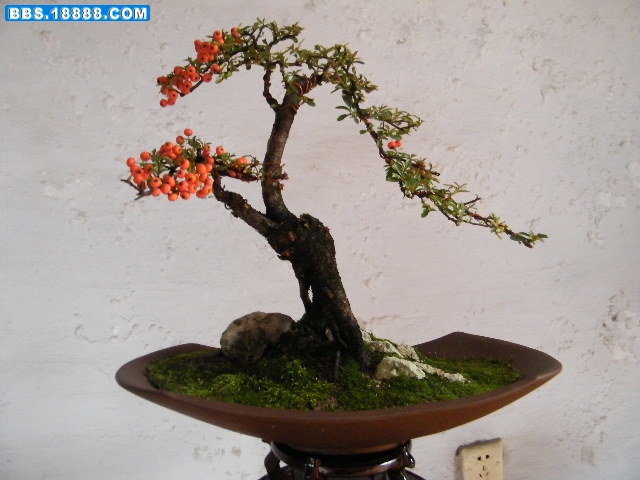 照片 052.jpg