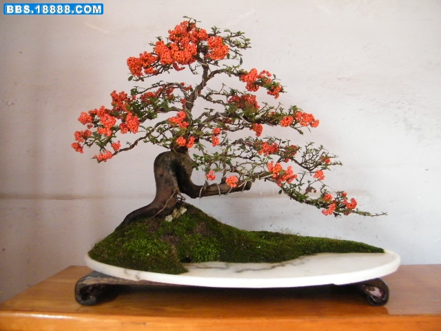 照片 055.jpg