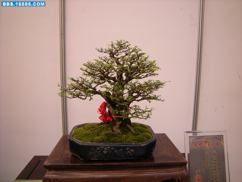 照片 302_缩小大小.jpg