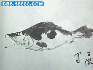 IMG1323A.jpg