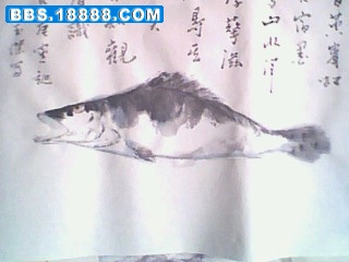 IMG1359A.jpg