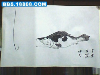 IMG1324A.jpg