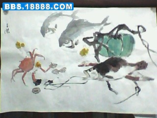 IMG1340A.jpg