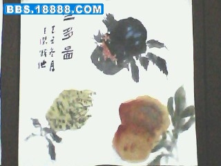IMG1329A.jpg
