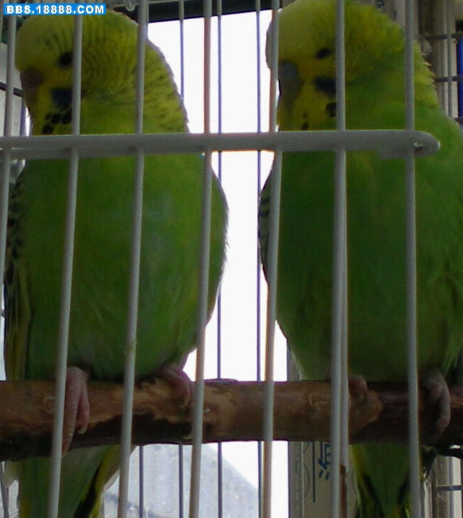 DSCN2753.JPG