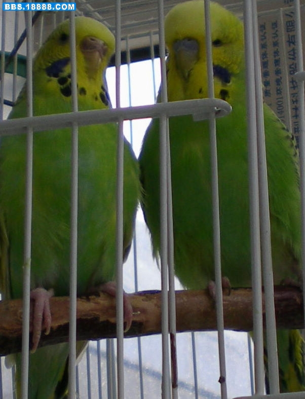 DSCN2752.JPG