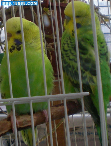 DSCN2772.JPG