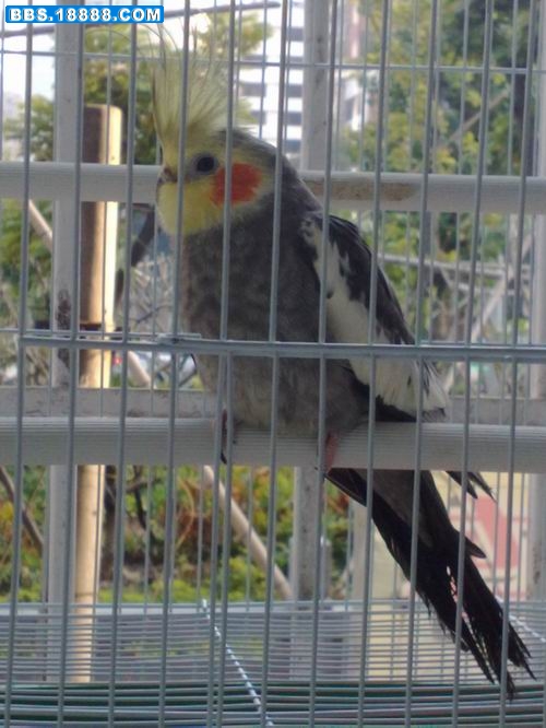 20100222022.jpg