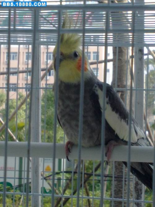 20100222018.jpg