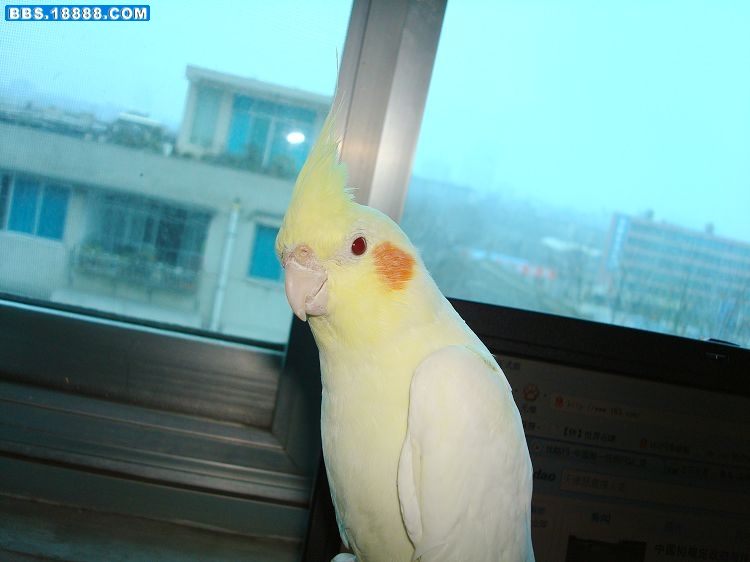 DSC00052.jpg