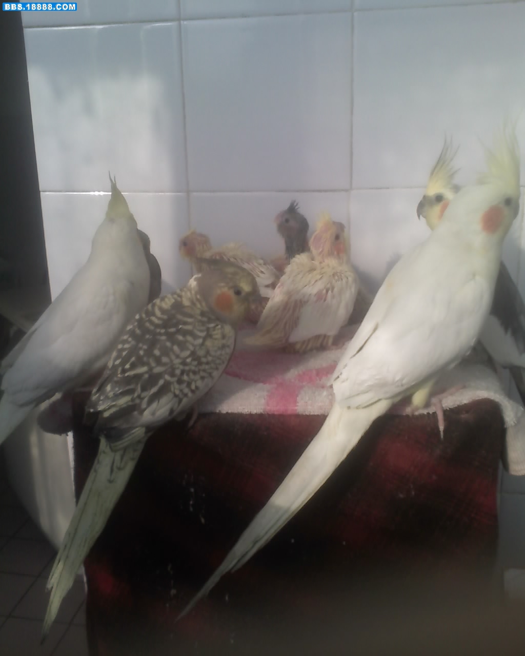 旋转 02-05-10_1044.jpg