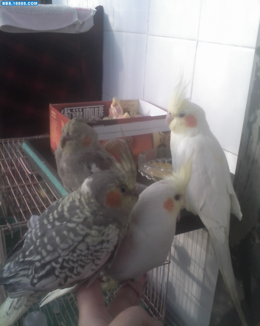 旋转 02-05-10_1025.jpg