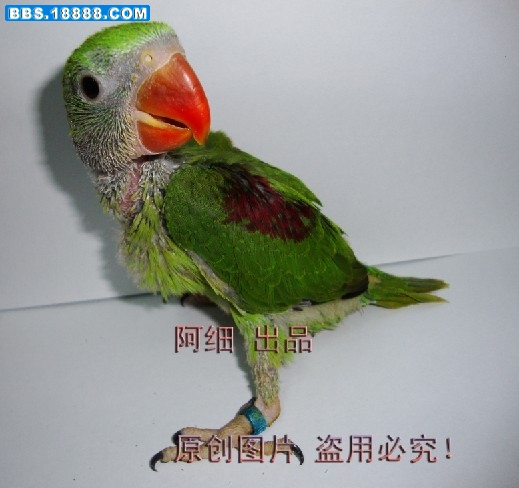 未命名.jpg