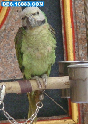DSC02072.jpg