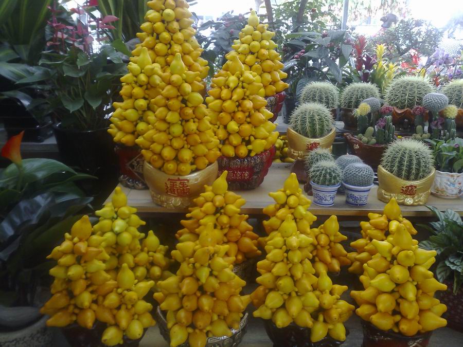 201002011784.jpg