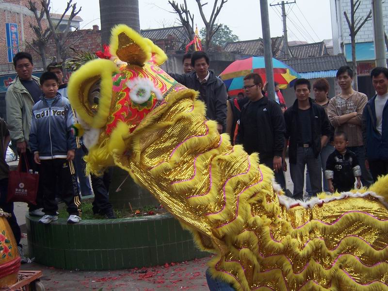 100_5541.JPG