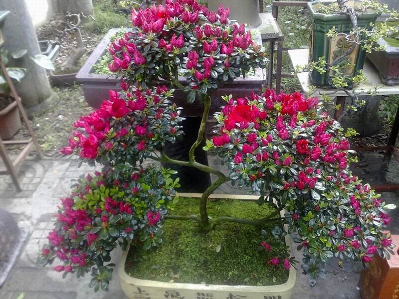 201002011795.jpg