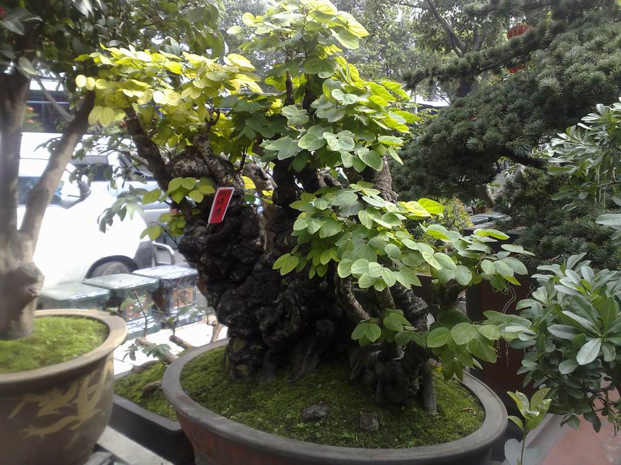 201002011805.jpg