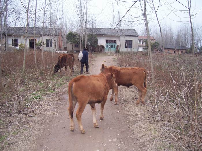 100_5444.JPG