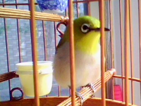IMG0105A.jpg