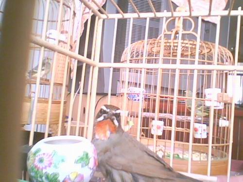 IMG0261A.jpg
