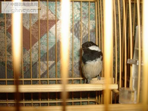 210_22462_4175dae24ff38bd.jpg