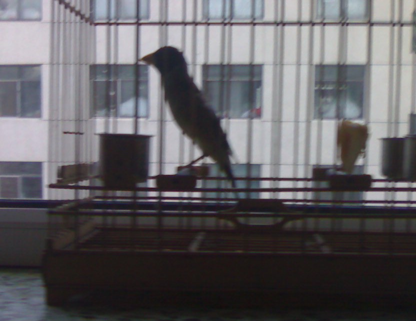 201001301200-001.jpg