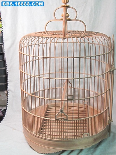 6 097_调整大小.jpg