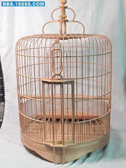 6 096_调整大小.jpg