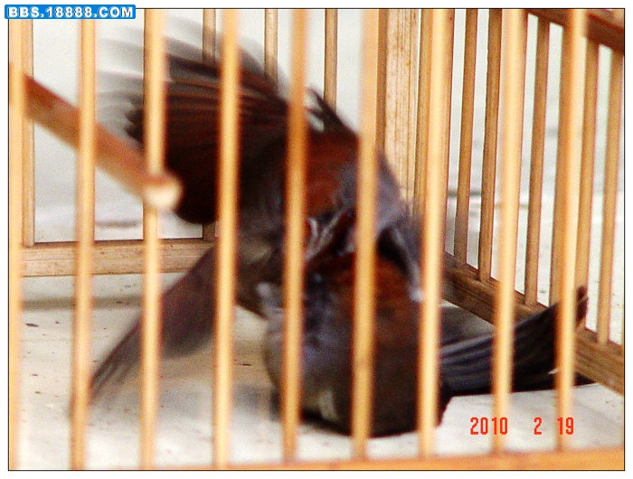 DSC01391.JPG