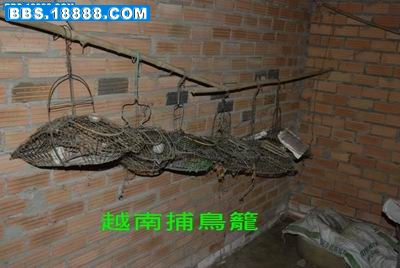 314_19627_9acdd993856588b.jpg
