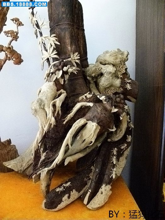 DSCN1035.jpg