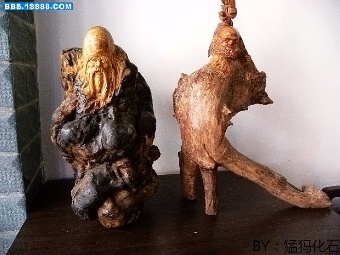 DSCN0816.jpg