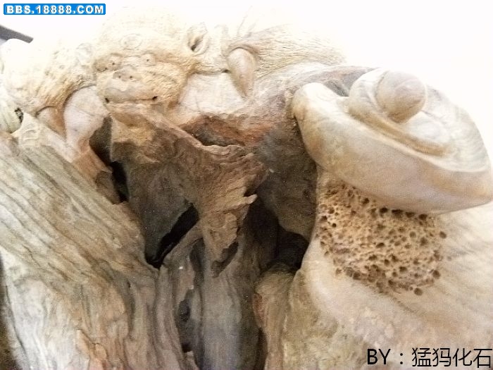 DSCN1052.jpg