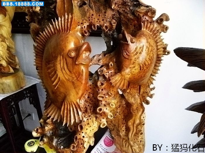 DSCN0723.jpg