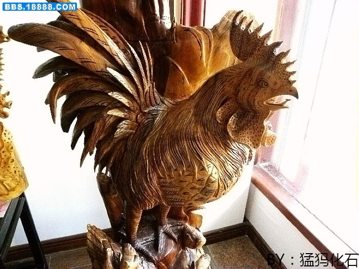 DSCN0724.jpg