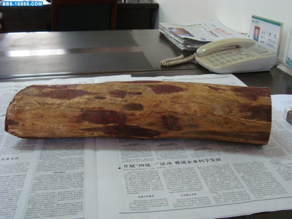 DSC03085.JPG