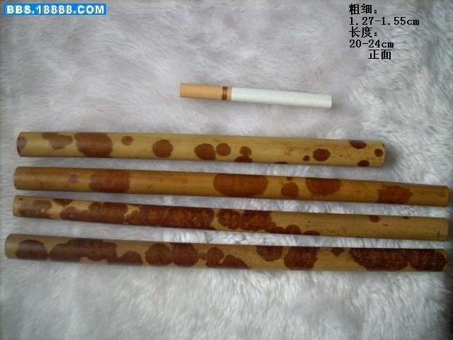 DSCN2373.JPG
