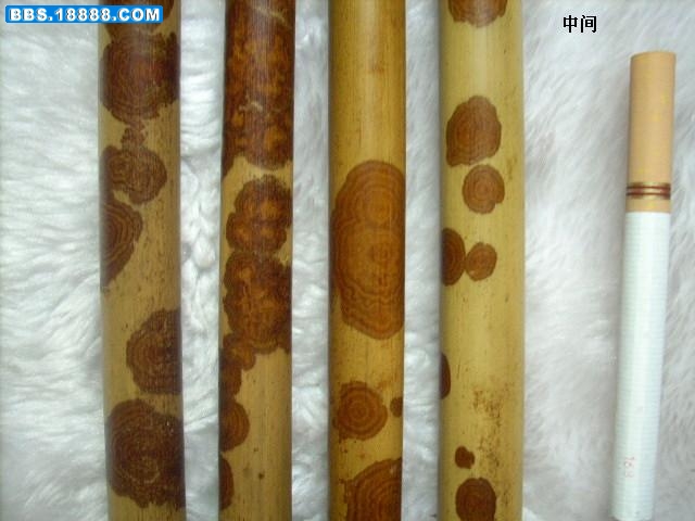 DSCN2375.JPG