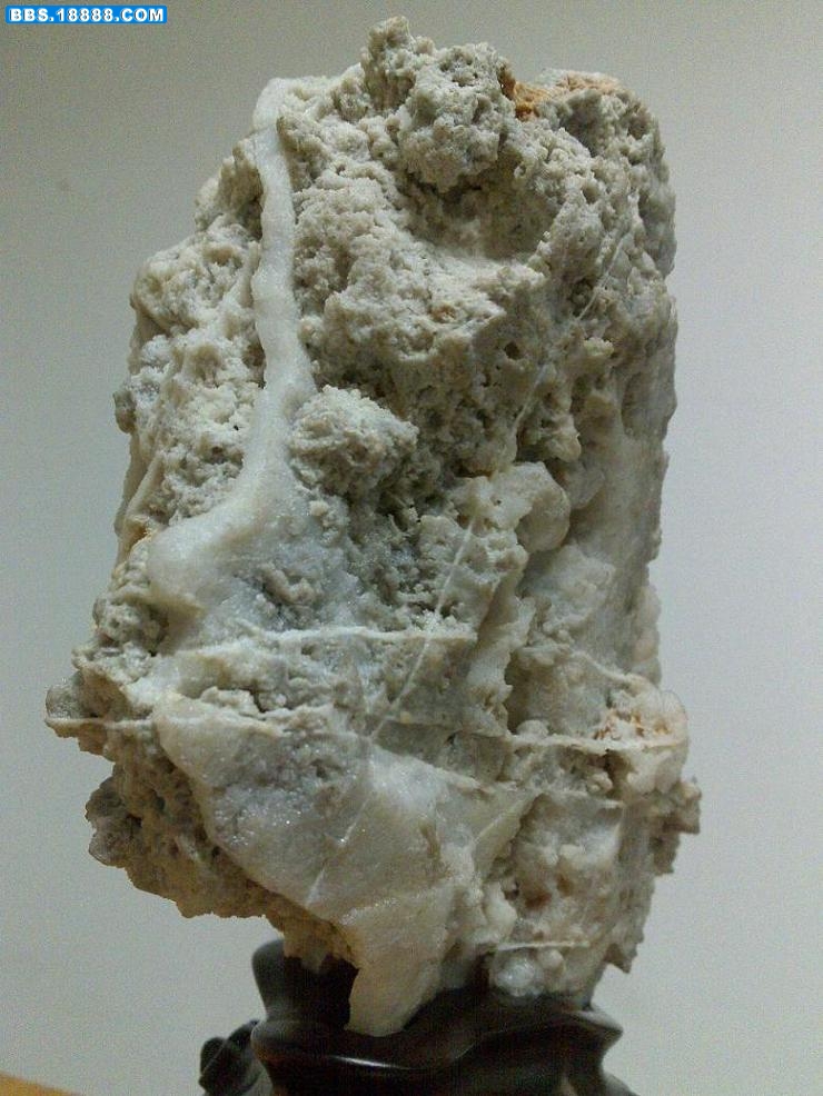 20100107778.JPG